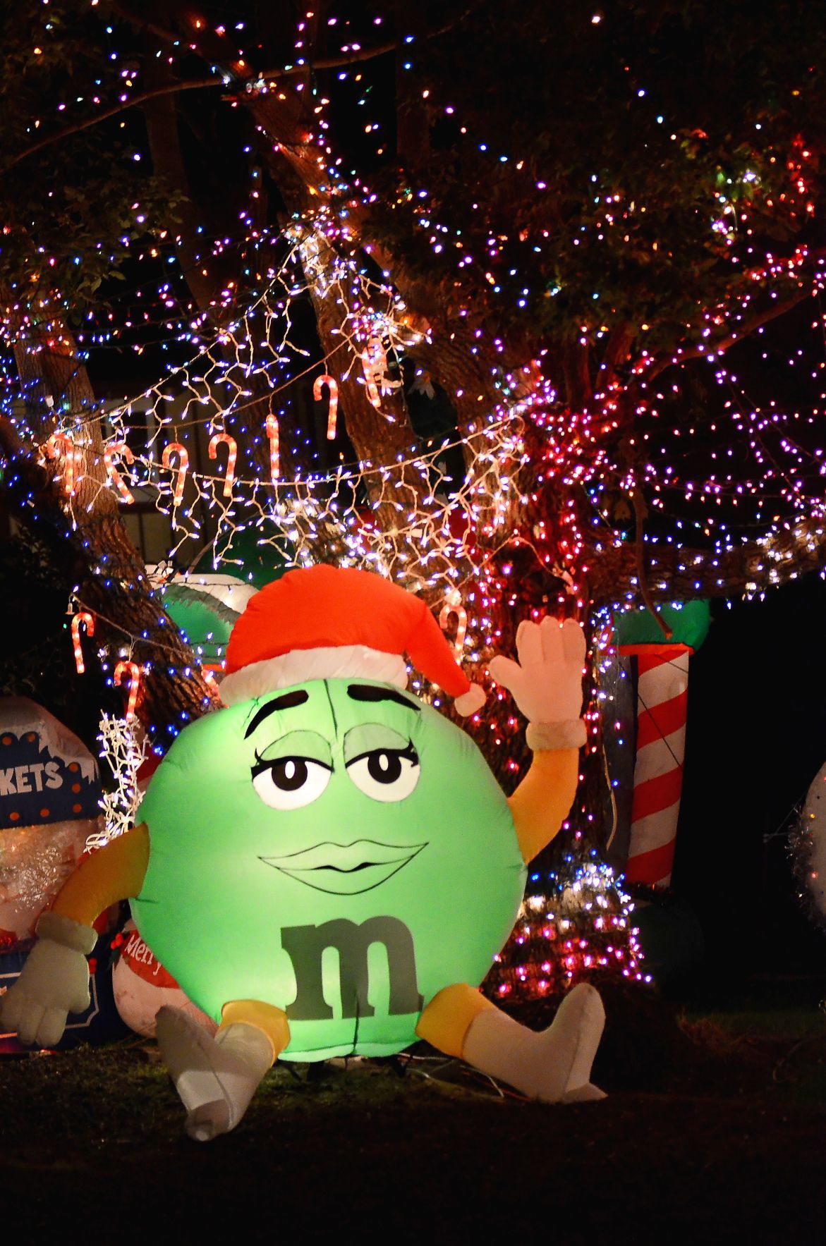 Napa Christmas lights